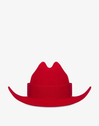 Hatt i ullfilt